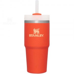 14 OZ Stanley The Quencher H2.0 FlowState™ | France_S1212
