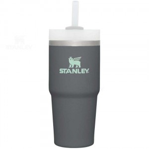 14 OZ Stanley The Quencher H2.0 FlowState™ | France_S1963