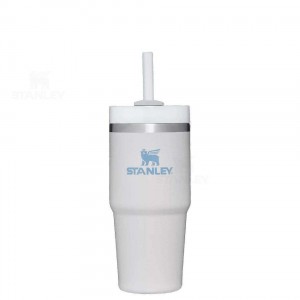 14 OZ Stanley The Quencher H2.0 FlowState™ | France_S1414
