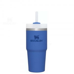 14 OZ Stanley The Quencher H2.0 FlowState™ | France_S2001