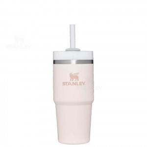 14 OZ Stanley The Quencher H2.0 FlowState™ | France_S1516
