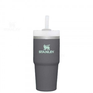 14 OZ Stanley The Quencher H2.0 FlowState™ | France_S1770