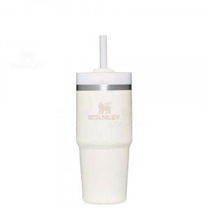 14 OZ Stanley The Quencher H2.0 FlowState™ | France_S1333