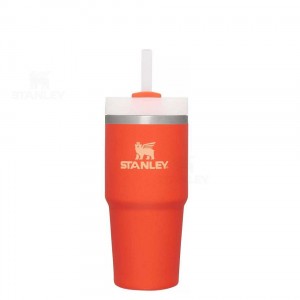 14 OZ Stanley The Quencher H2.0 FlowState™ | France_S1032