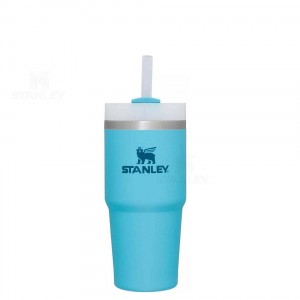 14 OZ Stanley The Quencher H2.0 FlowState™ | France_S1722