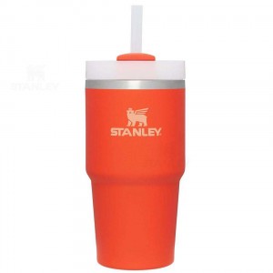 20 OZ Stanley The Quencher H2.0 FlowState™ | France_S2341