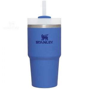 20 OZ Stanley The Quencher H2.0 FlowState™ | France_S1206