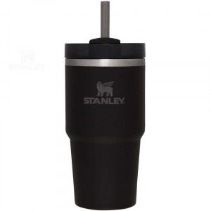 20 OZ Stanley The Quencher H2.0 FlowState™ | France_S1170