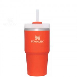 20 OZ Stanley The Quencher H2.0 FlowState™ | France_S2406