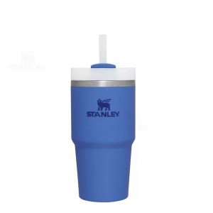 20 OZ Stanley The Quencher H2.0 FlowState™ | France_S1077