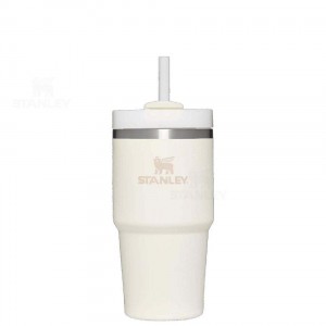 20 OZ Stanley The Quencher H2.0 FlowState™ | France_S1558