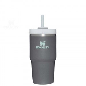 20 OZ Stanley The Quencher H2.0 FlowState™ | France_S1166