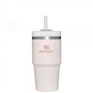 20 OZ Stanley The Quencher H2.0 FlowState™ | France_S1158