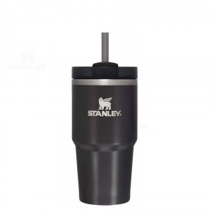 20 OZ Stanley The Quencher H2.0 FlowState™ | France_S1846