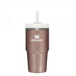 20 OZ Stanley The Quencher H2.0 FlowState™ | France_S1476