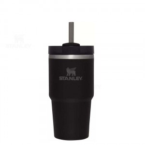 20 OZ Stanley The Quencher H2.0 FlowState™ | France_S1757