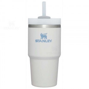 20 OZ Stanley The Quencher H2.0 FlowState™ | France_S1748