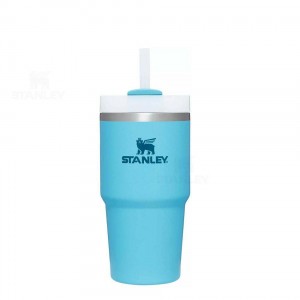 20 OZ Stanley The Quencher H2.0 FlowState™ | France_S1150