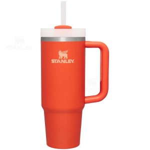 30 OZ Stanley The Quencher H2.0 FlowState™ | France_S1376