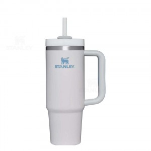 30 OZ Stanley The Quencher H2.0 FlowState™ | France_S1324