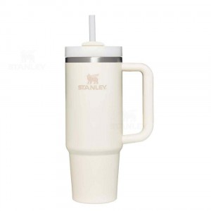 30 OZ Stanley The Quencher H2.0 FlowState™ | France_S1138