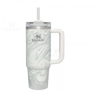 30 OZ Stanley The Quencher H2.0 FlowState™ | France_S1818