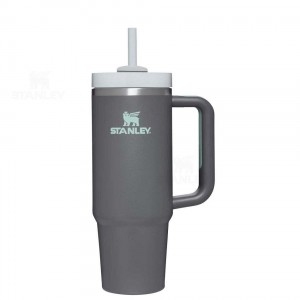 30 OZ Stanley The Quencher H2.0 FlowState™ | France_S1481