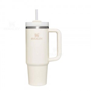 30 OZ Stanley The Quencher H2.0 FlowState™ | France_S1486