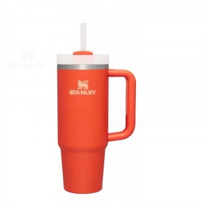 30 OZ Stanley The Quencher H2.0 FlowState™ | France_S1272