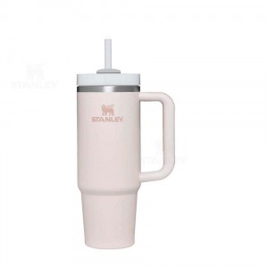 30 OZ Stanley The Quencher H2.0 FlowState™ | France_S1735