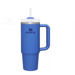 30 OZ Stanley The Quencher H2.0 FlowState™ | France_S2126