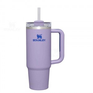 30 OZ Stanley The Quencher H2.0 FlowState™ | France_S1843