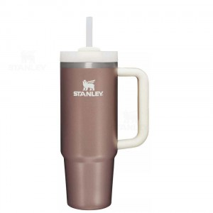 30 OZ Stanley The Quencher H2.0 FlowState™ | France_S1647