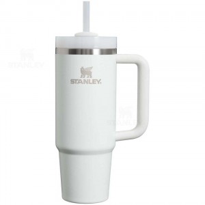 30 OZ Stanley The Quencher H2.0 FlowState™ | France_S1129
