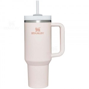 40 OZ Stanley The Quencher H2.0 FlowState™ | France_S2127