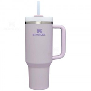 40 OZ Stanley The Quencher H2.0 FlowState™ (Soft Matte) | France_S1478