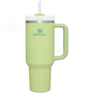 40 OZ Stanley The Quencher H2.0 FlowState™ | France_S1227
