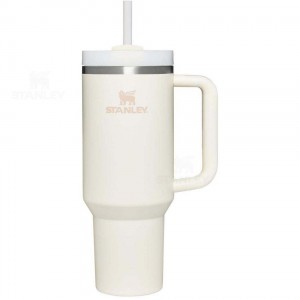 40 OZ Stanley The Quencher H2.0 FlowState™ | France_S1014