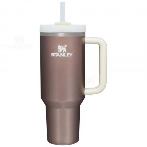 40 OZ Stanley The Quencher H2.0 FlowState™ | France_S2378