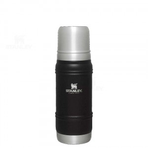 Bouteille Isotherme Stanley Artisan Thermal | 20 OZ | France_S1037