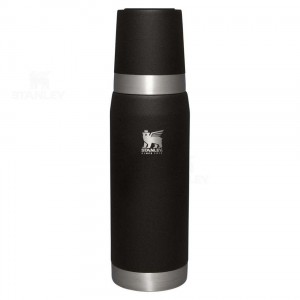 Bouteille Isotherme Stanley Forge Thermal | 25OZ | France_S1205