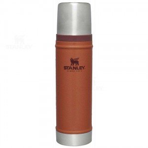 Coffee & Tea Stanley Classiche Legendary Bottle | 20 OZ | France_S1406
