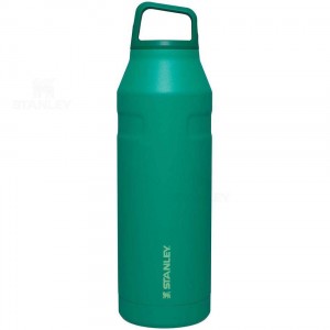 Gourdes Stanley IceFlow™ AeroLight™ with Cap and Carry+ Lid | 50 OZ | France_S1156