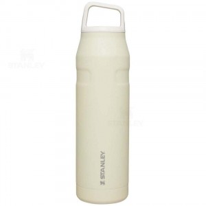 Gourdes Stanley IceFlow™ AeroLight™ with Cap and Carry+ Lid | 36 OZ | France_S1295