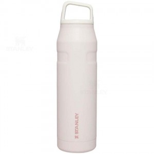 Gourdes Stanley IceFlow™ AeroLight™ with Cap and Carry+ Lid | 36 OZ | France_S1566