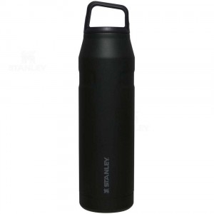 Gourdes Stanley IceFlow™ AeroLight™ with Cap and Carry+ Lid | 36 OZ | France_S1631