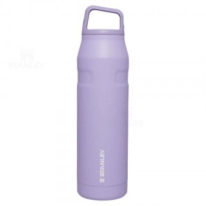 Gourdes Stanley IceFlow™ AeroLight™ with Cap and Carry+ Lid | 36 OZ | France_S1250