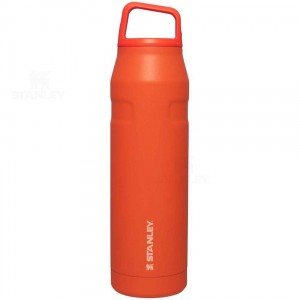 Gourdes Stanley IceFlow™ AeroLight™ with Cap and Carry+ Lid | 36 OZ | France_S1226
