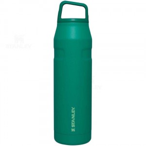 Gourdes Stanley IceFlow™ AeroLight™ with Cap and Carry+ Lid | 36 OZ | France_S1265