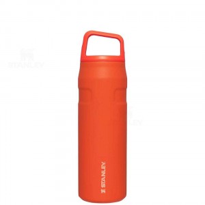 Gourdes Stanley IceFlow™ AeroLight™ with Cap and Carry+ Lid | 24 OZ | France_S1144